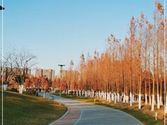 -桃花岛公园
