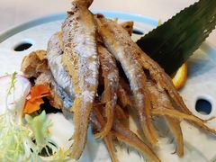 骨香煎黄鱼-宝燕壹号(徐汇店)