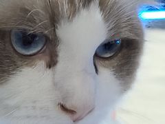 -零纪元VR体验馆·桌游(黄浦店)