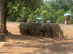 -西安秦岭野生动物园