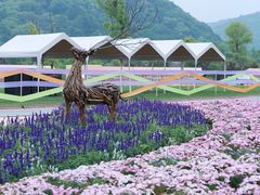 -杭州灵山景区