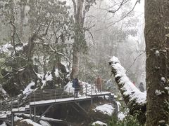 -龙苍沟森林公园