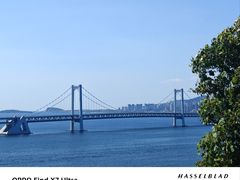 -星海湾跨海大桥