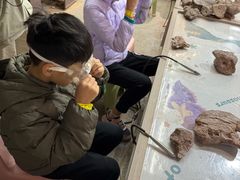 -世界恐龙谷景区