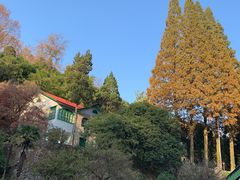 -莫干山风景区