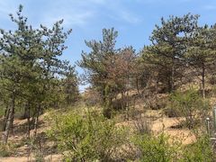 -大青山野生动物园