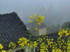 -石潭村