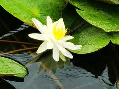 -白塔湖国家湿地公园