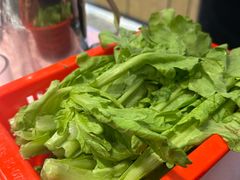 -老东风菜馆·羊肉火锅·海鲜·砂锅粥