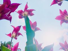 -长春公园(普阳街道)