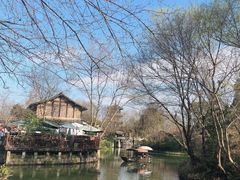 -西溪国家湿地公园