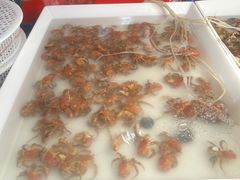 -王四营海鲜市场