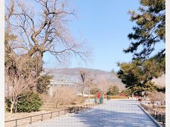 -国家植物园