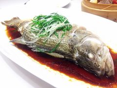 清蒸鲜鲈鱼-湖锦酒楼·旗舰店(三阳总店)
