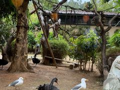 -熊猫自助餐厅.萌趣城堡(长隆熊猫酒店)