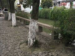 -狐狸家·酸奶酪专门店(平江路店)