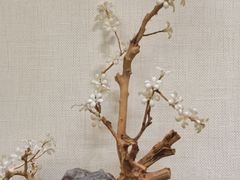 -山东宾馆·齐鲁苑餐厅