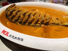 -阿五黄河大鲤鱼(英协路店)