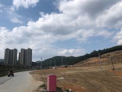 -黄埔油麻山森林公园