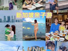 -圣淘沙天际线斜坡滑车
