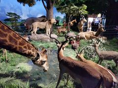 -国家自然博物馆