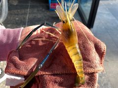 -SHRIMP CLUB万东餐饮钓虾·清吧