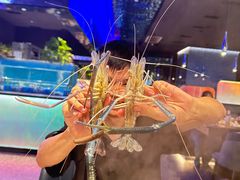 -曼格活海鲜·牛排自助(光明蓝鲸店)