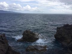 -龙坑生态保护区