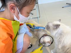 -怪兽屋·羊驼·猫咖·狗咖(俊华广场店)