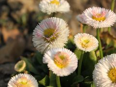 -瑞幸咖啡(华东理工大学商学院店)