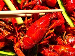 -杨氏青龙虾·羊蝎子(珠江路店)