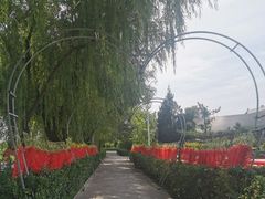 -盛世南宫影视城(北普陀影视城)