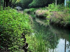 -北坞公园