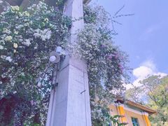 -广州市紫泥堂文化创意园景区