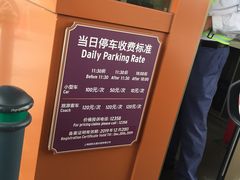-迪士尼乐园停车场