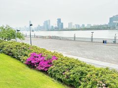 -上海浦东滨江喜来登酒店