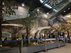 -湖南省地质博物馆