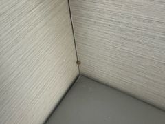 -威海天沐温泉度假区