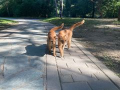 -徐家汇源景区-衡山公园