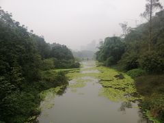 -张坝桂圆林公园