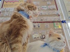-平行世界·猫咖(首经贸店)