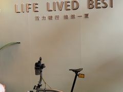 -王府半岛酒店