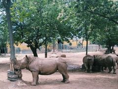 -西安秦岭野生动物园