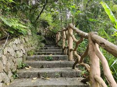 -海南热带雨林国家公园吊罗山景区