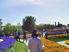 -南通洲际绿博园