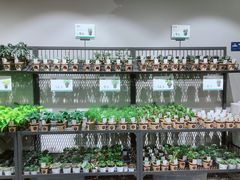 -鹿岛会员店 (龙湖三千集天街店)