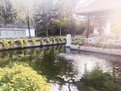 -沈阳植物园