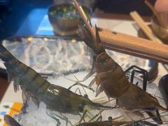 -琥珀川糟粕醋·香草鸭·鸡煲(慈云寺店)