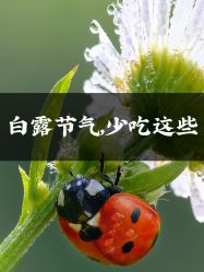 -雅曼妮spa美容养生