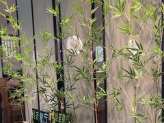 -绿茶餐厅(滨海万达广场店)